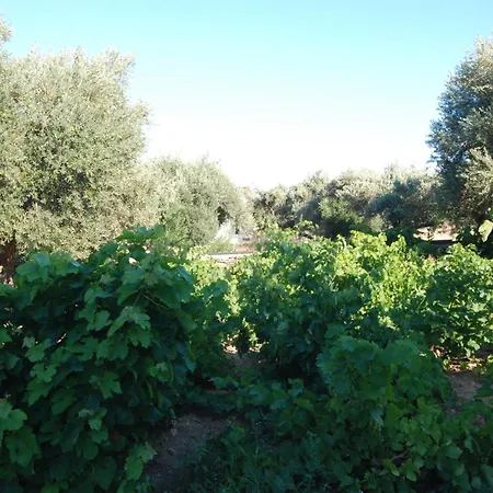 Appartamento Perivoli