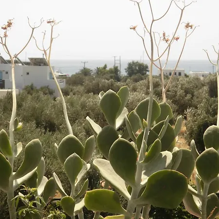 Апартаменты Perivoli *