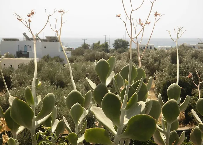 Lejlighed Perivoli *